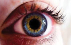 Value your eyes ocular health website image